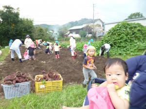 ベビーカーに乗って芋ほりを見守る1歳児